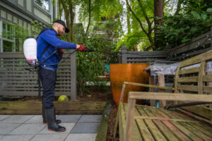 Unveiling the Health Advantages Soft Washing Siding for a Healthier Living Space