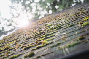 Why Are My Gutters Overflowing Top Causes and How to Fix It