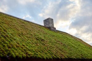 The Safest and Most Effective Method for Roof Moss Removal. Roof covered with green moss and blue sky with white clouds, selective focus. High-quality photo