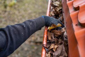 Roof Moss Removal & Treatment: Protecting Your Home the Right Way. A man wearing gloves removes fallen leaves and debris from a gutter under a red metal tile roof.